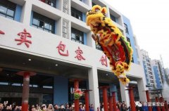 醒狮贺岁，开云网页版·官方版在线登入-开云(中国)2019年开工大吉